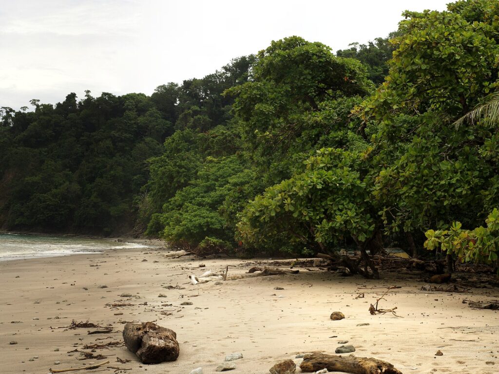 Coastline of Cabo Blanco Nature Reserve at the tip of the Nicoya Peninsula