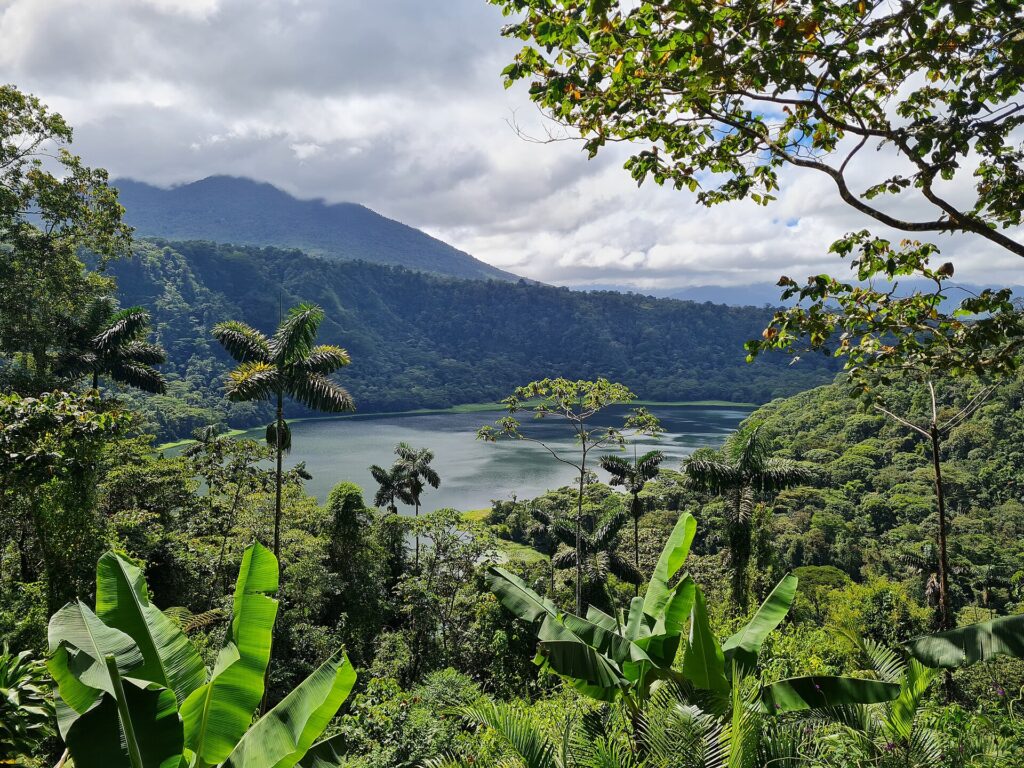 Laguna Hule crater lake surrounded by forest