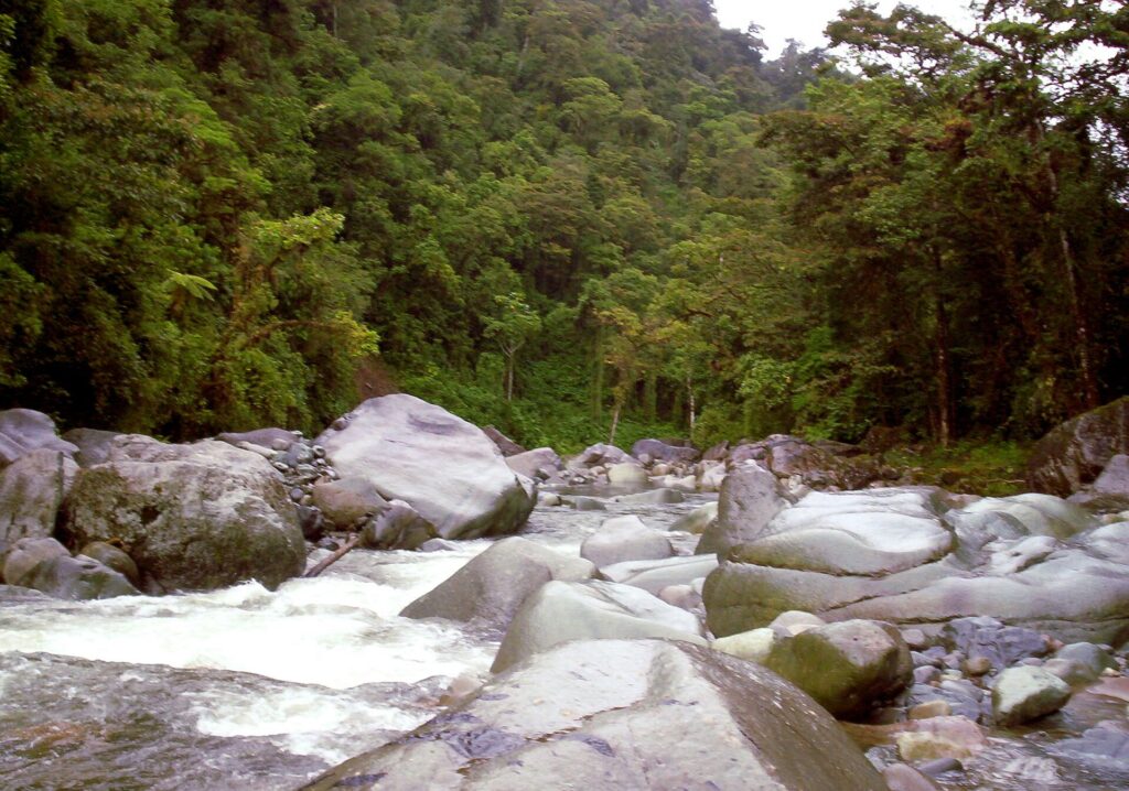 Río Grande de Orosi flowing through the Orosi valley