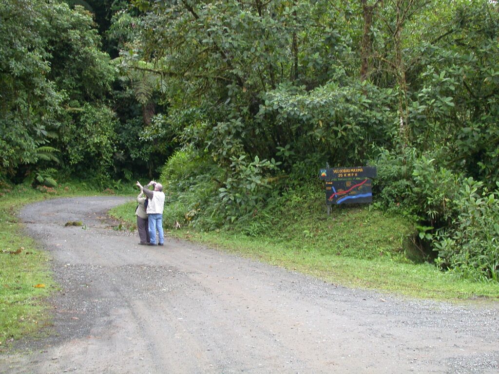 Cloud forest and river in Tapantí National Park